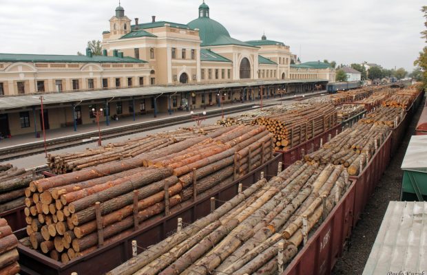 Співробітник лісгоспу попався на незаконному збуті деревини на Закарпатті, - СБУ - Цензор.НЕТ 8391