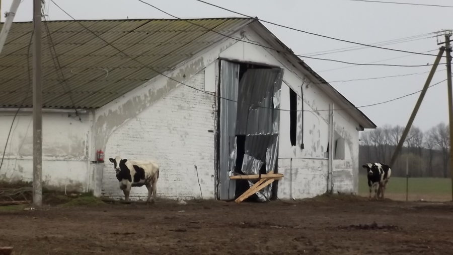 Лукашівка-ферма-Ткаченка (4)