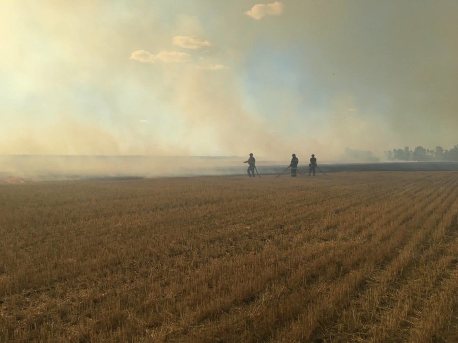 пожежі - Миколаївська область (12)