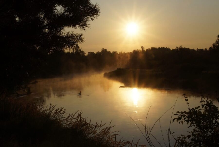 Фото Станіслава Гуменюка 2