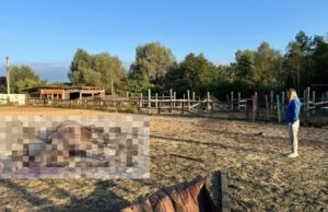 Фото: Endurance Horse Sport Club